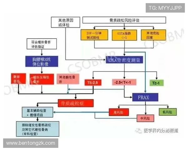 上海篮球队的整体压制策略解析与战术深度剖析