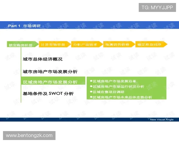 南京羽毛球队快攻战术解析与训练策略探讨